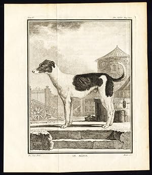 Antique Print-BUFFON-DOGS-Le Matin-1766