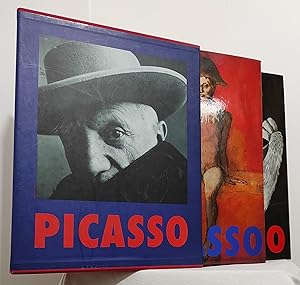 Picasso, 1881-1973