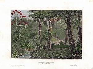 Urwald Scenerie in Brasilien. Südamerika. Stahlstich koloriert. 1835
