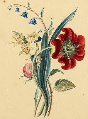 Antique Drawing-POPPY-LILY OF THE VALLEY-ROSE-Anonymous-1794