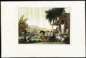 Antique Print-SILK MANUFACTURE-PLANTATION-AMERICA-Fumagalli-Ferrario-1827