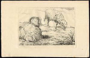 Antique Master Print-TWO GOATS-GRAZE-REST-Van Os-ca. 1800