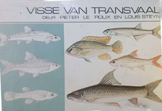 Visse van Transvaal
