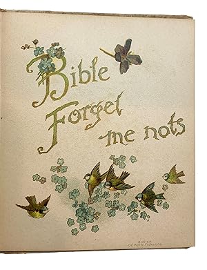 BIBLE FORGET ME NOTS