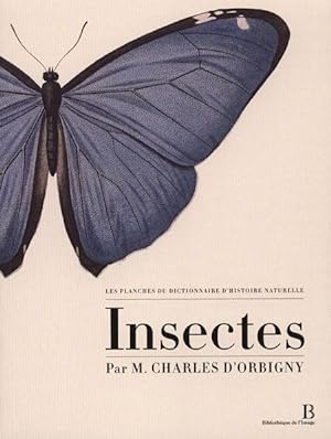 Les planches du dictionnaire d'histoire naturelle , les insectes- -M.CHARLES D'ORBIGNY.