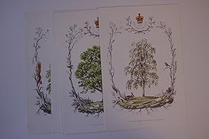 The Queens Trees