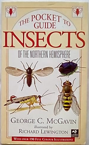 The Pocket Guide To Insects Of The Northern Hemisphere