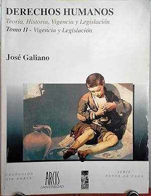 Derechos Humanos. Teoría, historia, vigencia y legislación. Tomo II.- Vigencia y Legislación