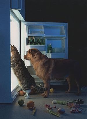 Dog & Cat Raiding Owners Fridge Food Comic German Postcard