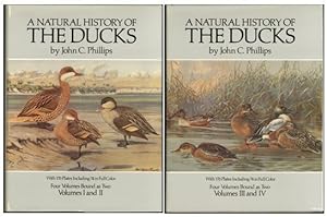 A Natural History of the Ducks (Four volumes bound as two)