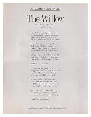 The Willow - Las Cruces, New Mexico Spring, 1964
