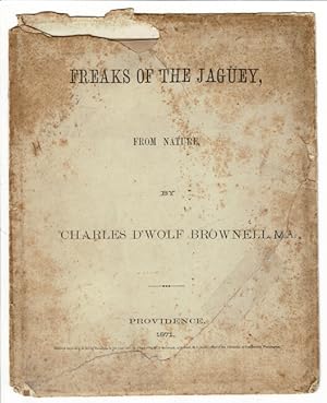 Freaks of the Jagüey, from nature [envelope title]