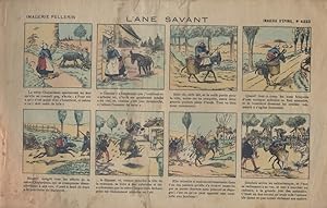 L'âne savant. Image d'Epinal en couleurs. (N° 4233). Sans date. Vers 1900.