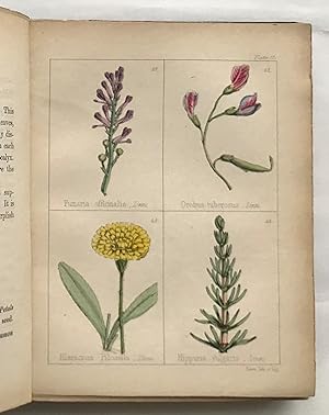 Popular Field Botany; containing a familiar and technical description of the plants most common t...