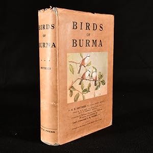 Birds of Burma