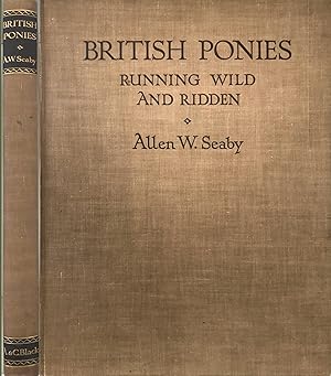 British Ponies Running Wild and Ridden