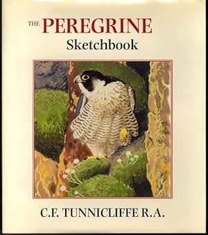 The peregrine sketchbook