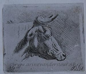 [Antique print, etching] Head of a cow, published ca. 1850, 1 p.