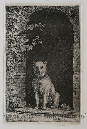 [Antique print, etching] Dog sitting on the doorstep / Hond op de drempel.