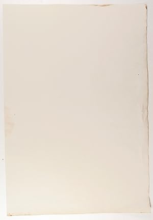 Very large blank laid paper sheets with watermark "D. & C. Blauw IV"