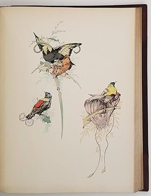 Art and Letters. An Illustrated Review. Second Volume. [with article Birds of Paradise, and much ...