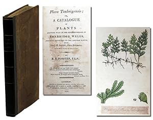 Flora Tonbrigensis; Or A Catalogue of Plants Growing Wild in the Neighbourhood of Tonbridge Wells...