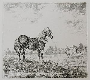 [Antique print, etching] Landscape with three horses.