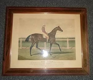Chorister, the Winner of Great St. Leger Stakes at Doncaster, 1831. Original aquatint.