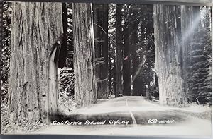 Real Photo Post Card: "California Redwood Highway."