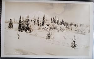 Real Photo Post Card: "Winter and Mt. Shasta"
