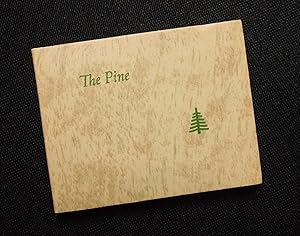 The Pine