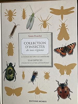 Collection d'insectes de nos régions.
