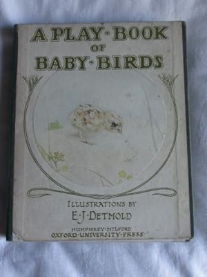 A Play Book of Baby Birds