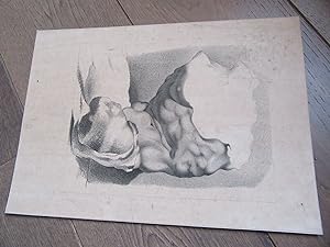 GRAVURE 1880 LITHOGRAPHIE BUSTE