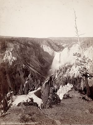 Lower Falls from Point Lookout, Yellowstone Park