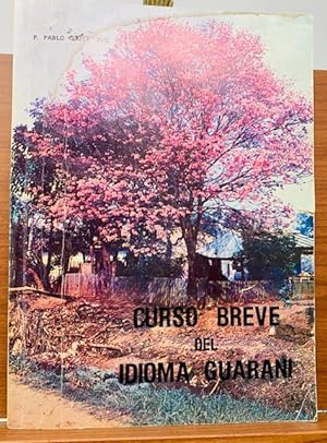 Curso Breve Del Idioma Guarani