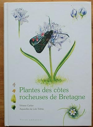 Plantes des côtes rocheuses de Bretagne