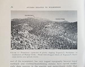 Mineral Resources of the Pine Mountain Primitive Area, Arizona. Studies Related to Wilderness Cha...