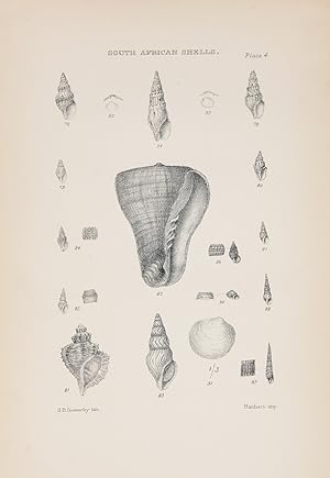 Marine Shells of South Africa: A Catalogue of All the Known Species with References to Figures in...
