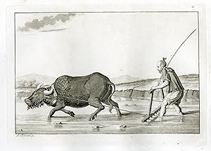Antique Print-AGRICULTURE-TRADITIONAL-CHINA-PL.XLI.-Ferrario-Rancati-c.1827