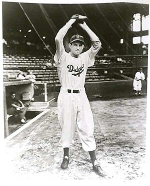 PREACHER ROE BROOKLYN DODGERS PHOTO 8'' x 10'' inch Photograph