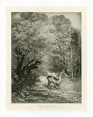 "Gustave COURBET : Chevreuils sous bois" / Héliogravure originale d'après un tableau de Gustave C...
