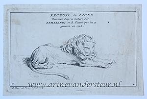 [Antique prints, etching, 1728] Seven etchings of lions after Rembrandt, of a set of eight, makin...