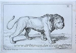 [Antique print, etching] Lion standing [set title: Receuil de Lions, series A]/Staande leeuw, pub...