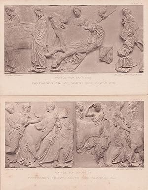 Cattle for Sacrifice Parthenon Frieze British Museum 2x Postcard s