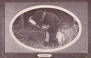 Bottle Feeding An Orphan Animal Real Photo Old Postcard