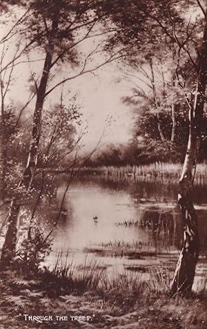 Through The Trees E Parton Painting Farm Lake RPC Postcard