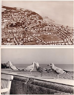 Greetings From Minehead Seagulls On Beach Wall 2x Postcard