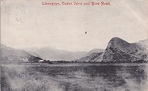 Llanegrin Cedar Idris Bird Rock Gwynedd Welsh Antique Postcard
