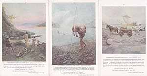 Transport Through The Ages Stone Age Prehistoric 3x Postcard s